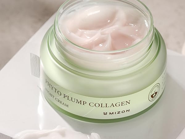 Mizon Phyto Plump Collagen Day Cream - Κρέμα Προσώπου Ημέρας για Ενυδάτωση & Αντιγήρανση